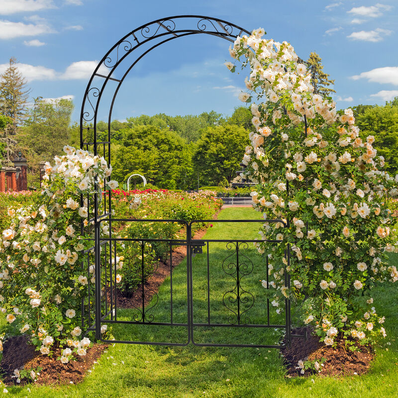 Iron Arch with Arc Roof, Double Layer with Door, Wrought Iron Arch for Courtyard or Garden