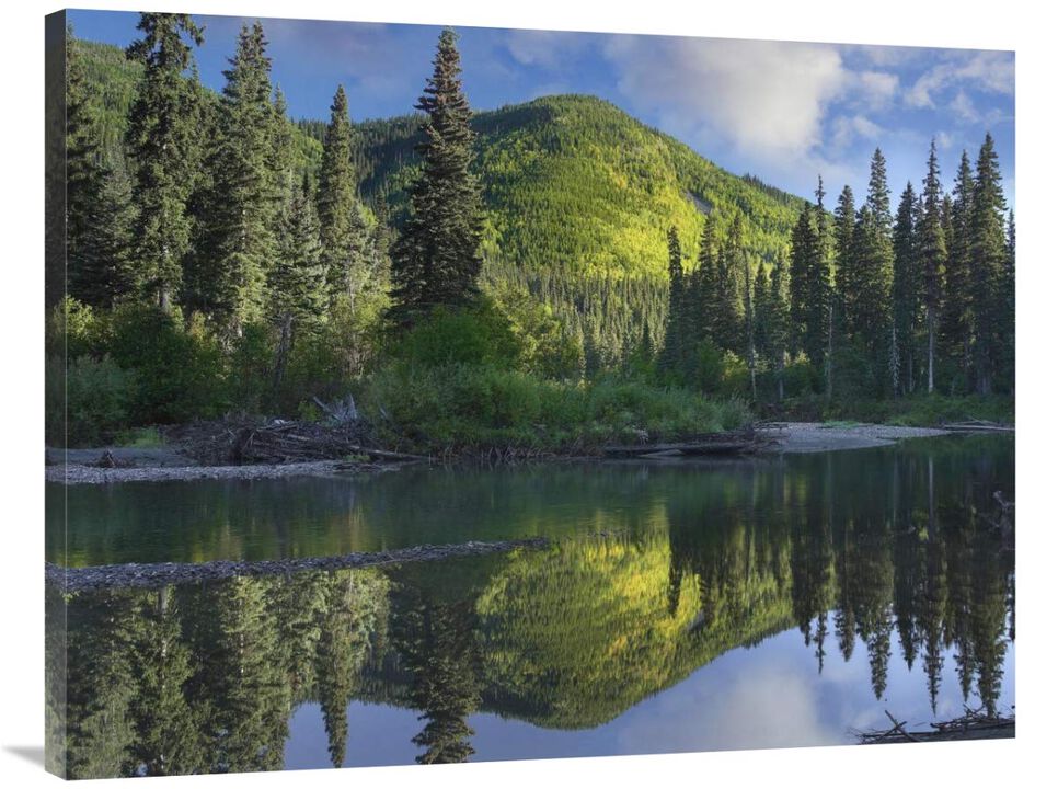 Pine River, Hart Ranges, British Columbia, Canada-Canvas Art-40x30