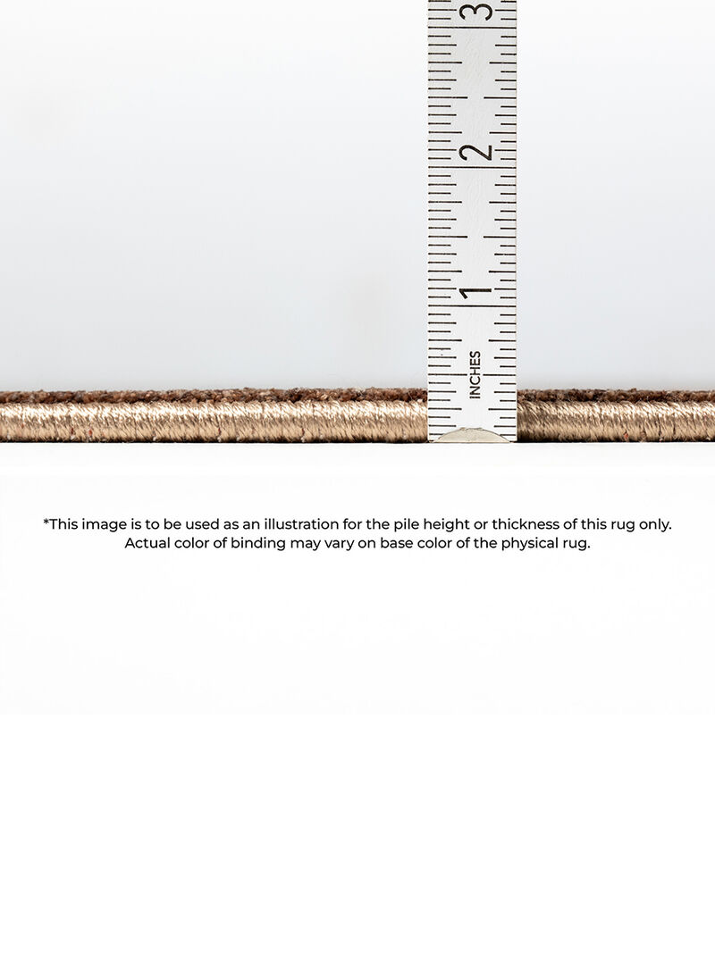 Vizcia VZ2 Gold 3' x 5'1" Rug
