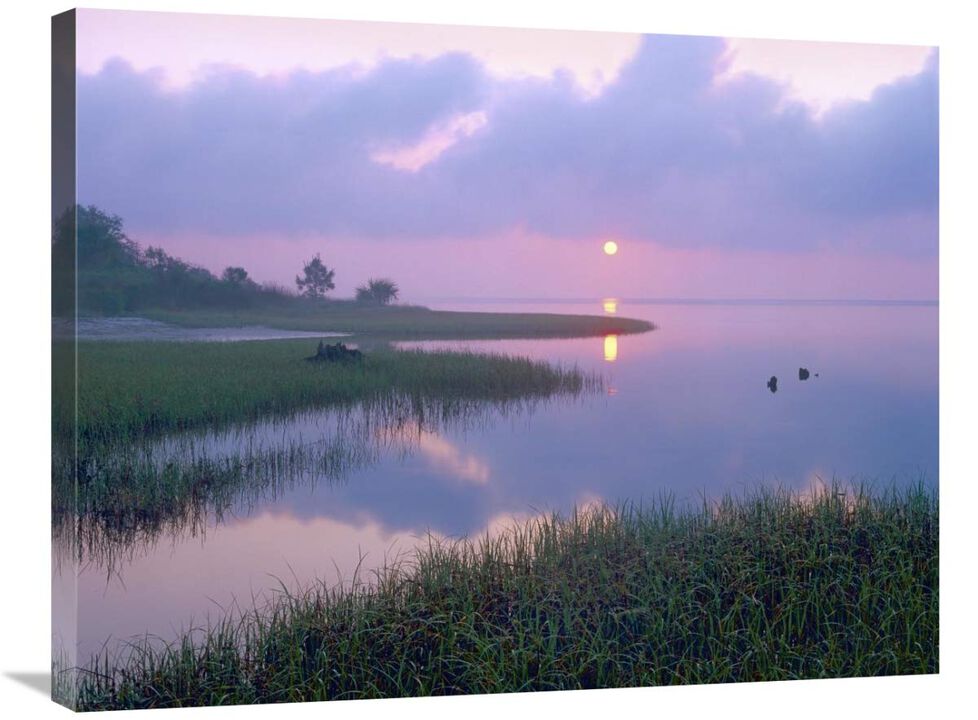Marsh at sunrise over Eagle Bay, St Joseph Peninsula, Florida-Canvas Art-32x24