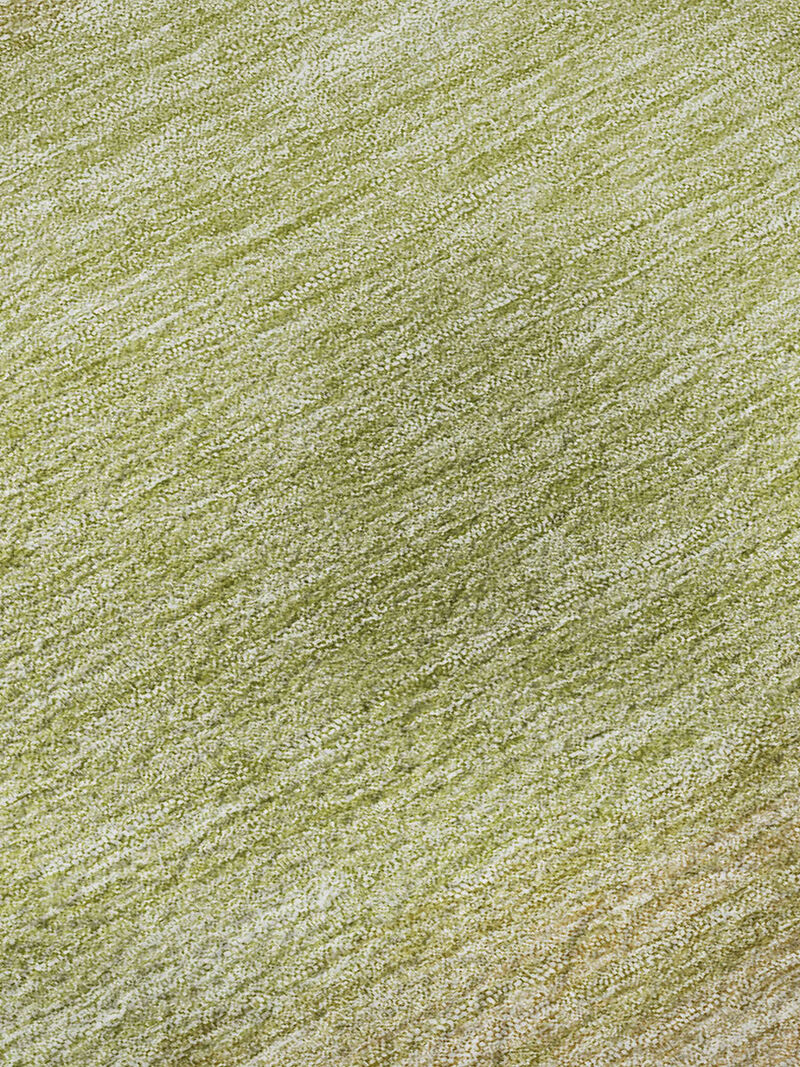 Trevi TV2 Aloe 3' x 5' Rug