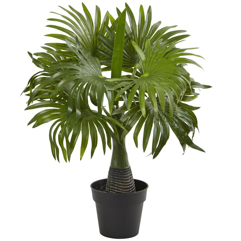Hivvago Areca, Fountain & Banana Palm (Set of 3)