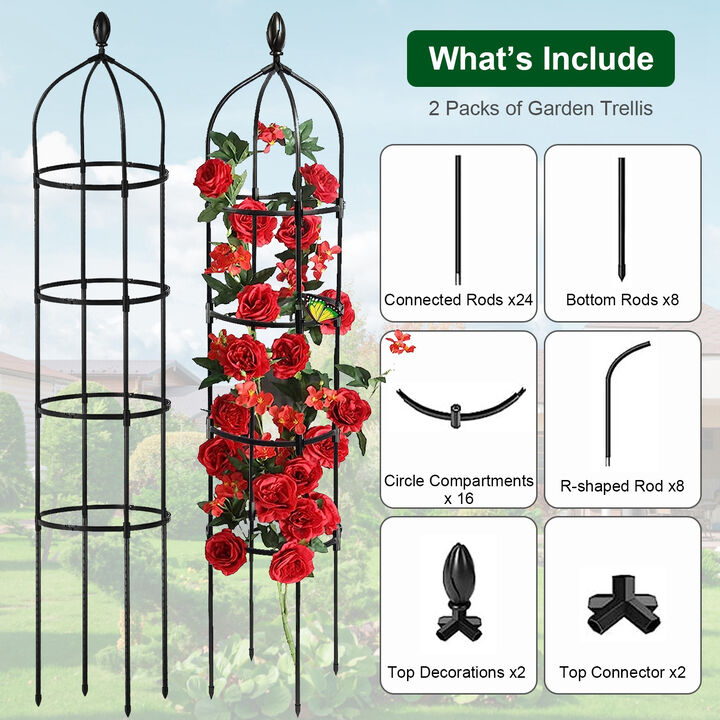 2-Pack Rustproof Garden Obelisk Trellis, Sturdy Climbing Plant Tower for Vines & Flowers