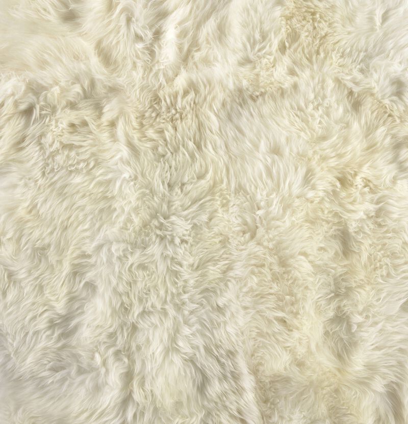 Lalo Cream Lambskin 3.25' x 6' Rug