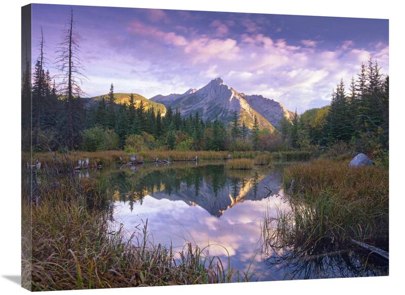 Mount Lorette and spruce trees reflected in lake, Alberta, Canada-Canvas Art-32x24