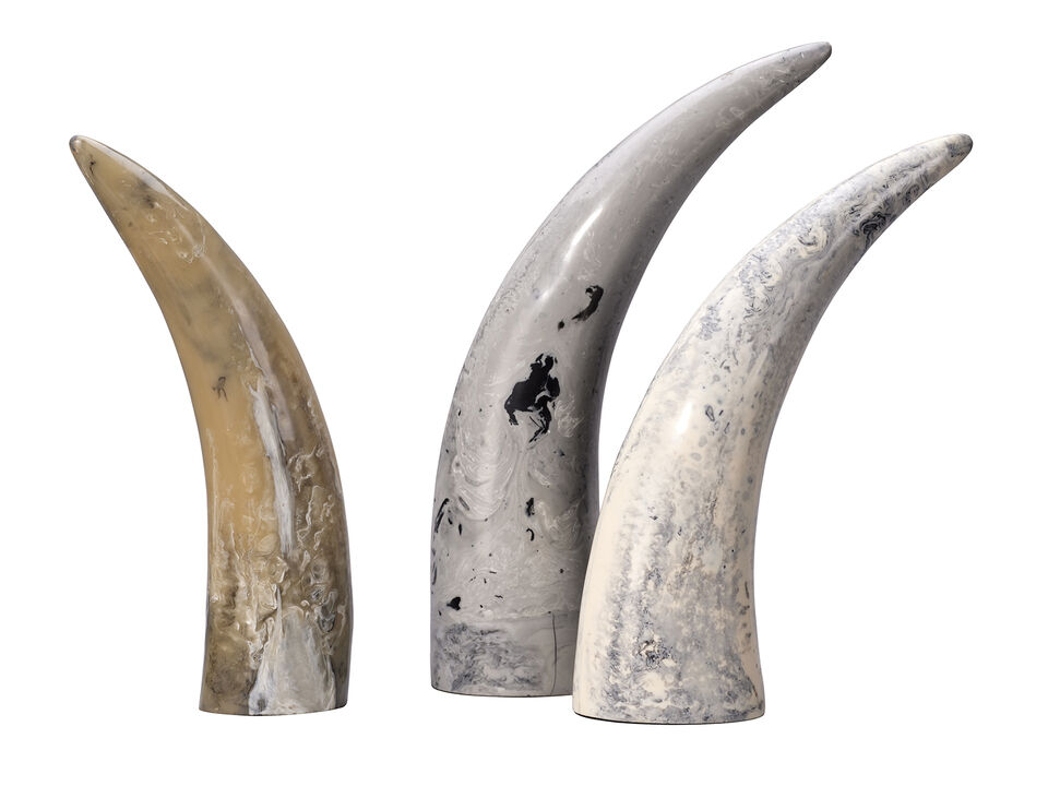 Variegated Horn