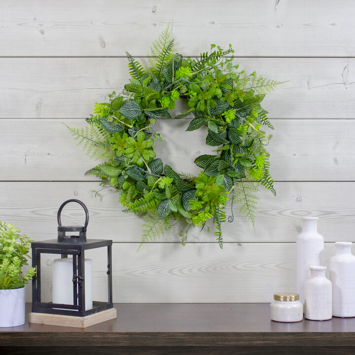 Maidenhair Fern and Assorted Foliage Spring Wreath  24-Inch