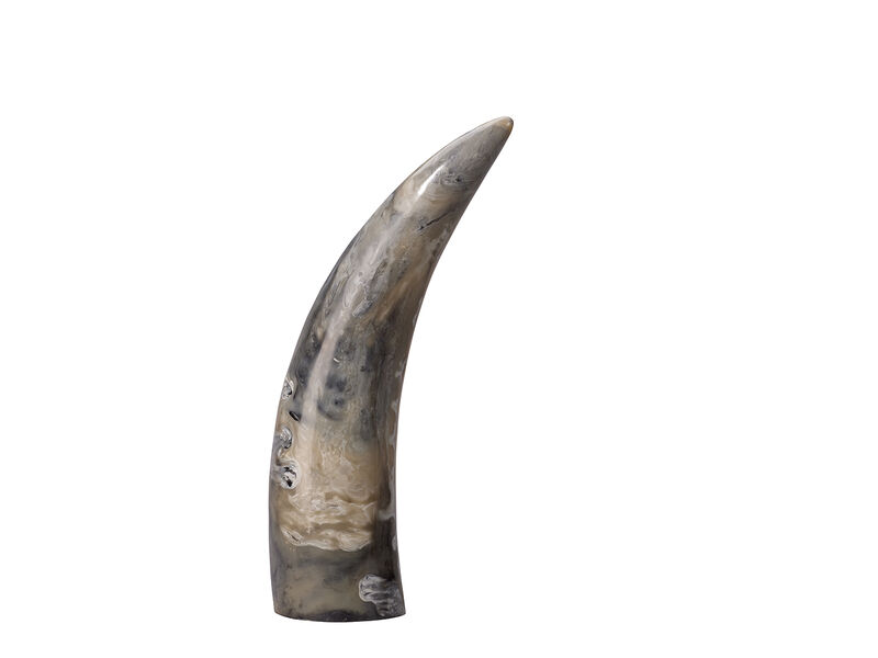 Variegated Horn