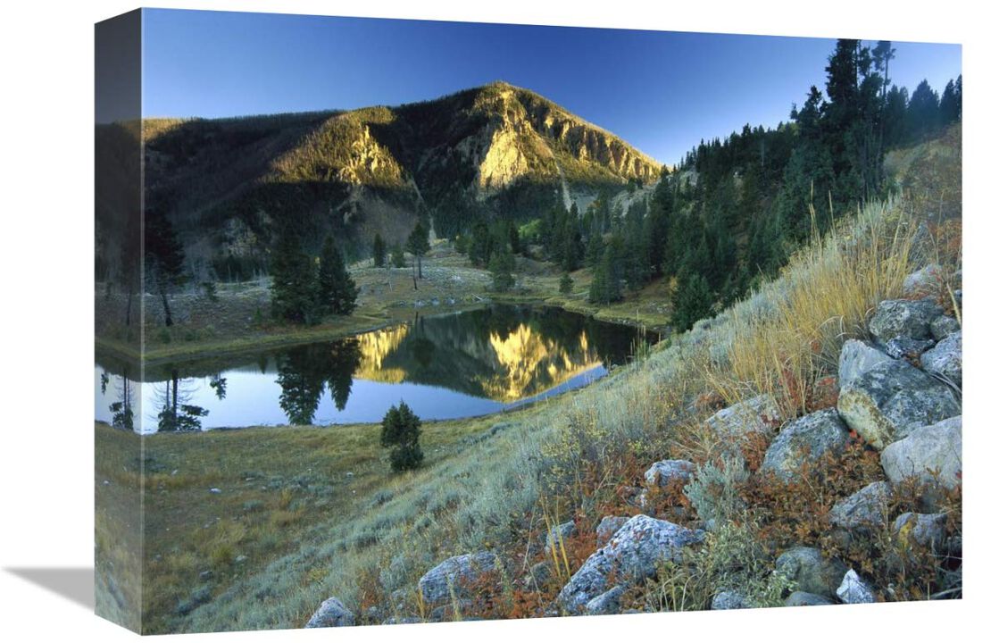 Bunsen Peak, an ancient volcano cone, reflected in lake, near Mammoth, Yellowstone National Park, Wyoming-Canvas Art-16x12
