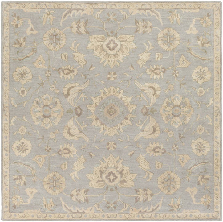 Caesar CAE-1162 6' x 9' Gray Rug