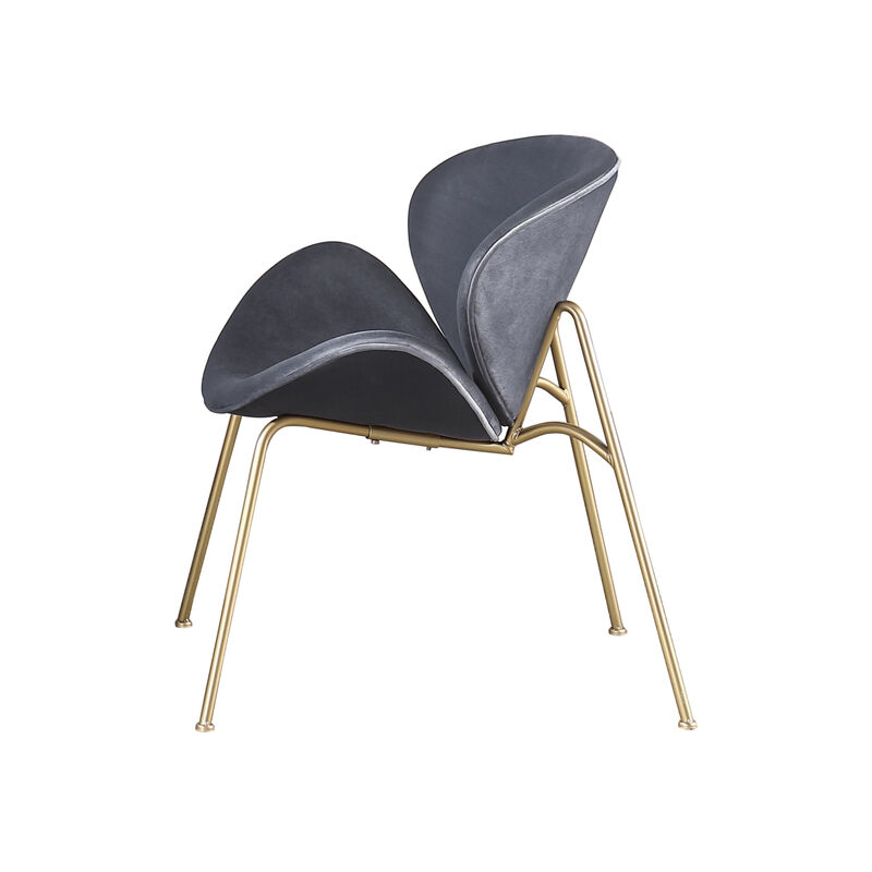 Velvet Dining Chairs, Upholstered Living Room Chairs with Gold Metal Legs