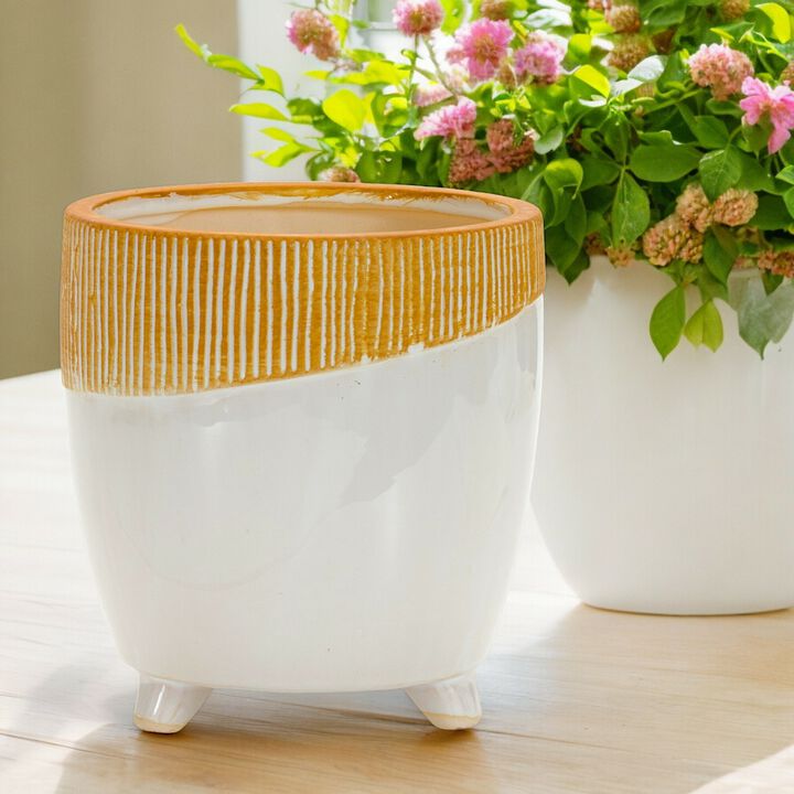 Dual Tone Planter for Modern Plant Display and Home Décor