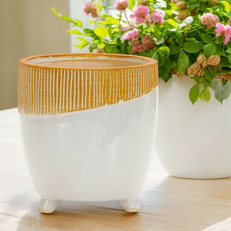 Dual Tone Planter for Modern Plant Display and Home Décor
