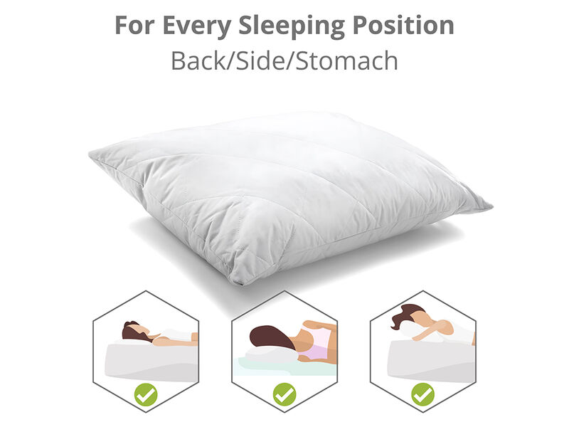 Woodek Luxury Silk Pillow with Removable Zipper Cover Queen 20x28 Inches