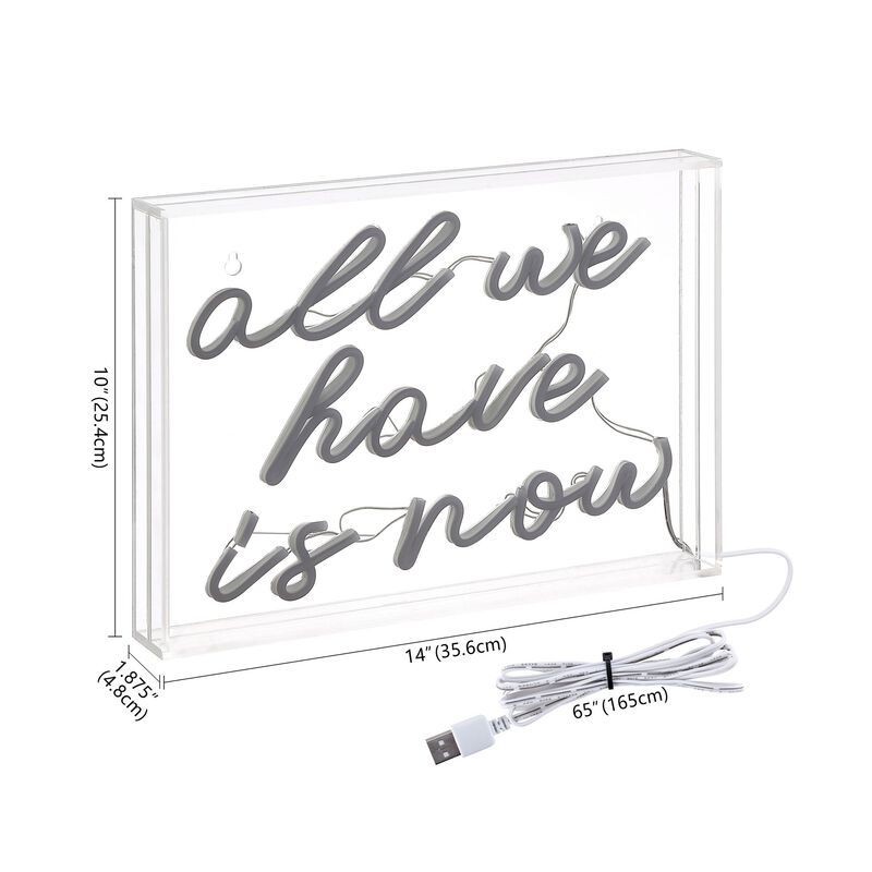 All We Have Is Now 14" X 10" Contemporary Glam Acrylic Box USB Operated LED Neon Light