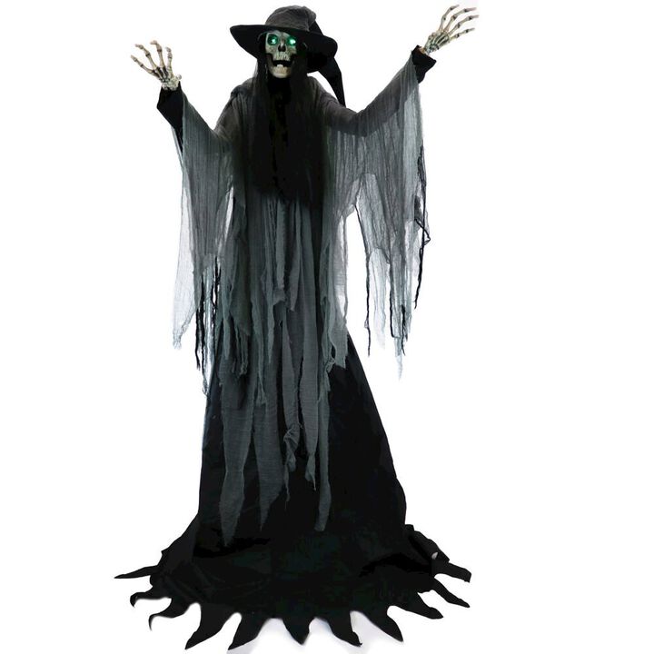 Haunted Hill Farm Animated Macabre Witch