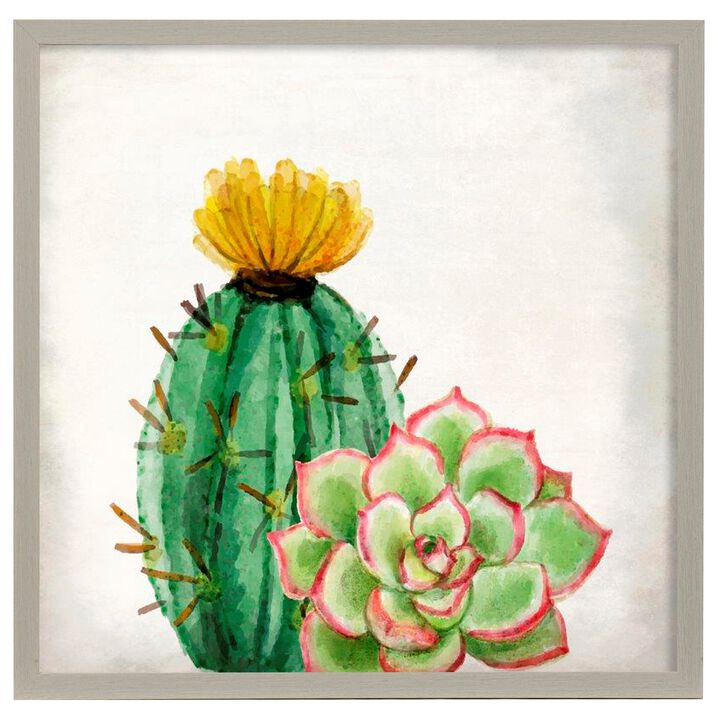 In The Desert II Framed Print