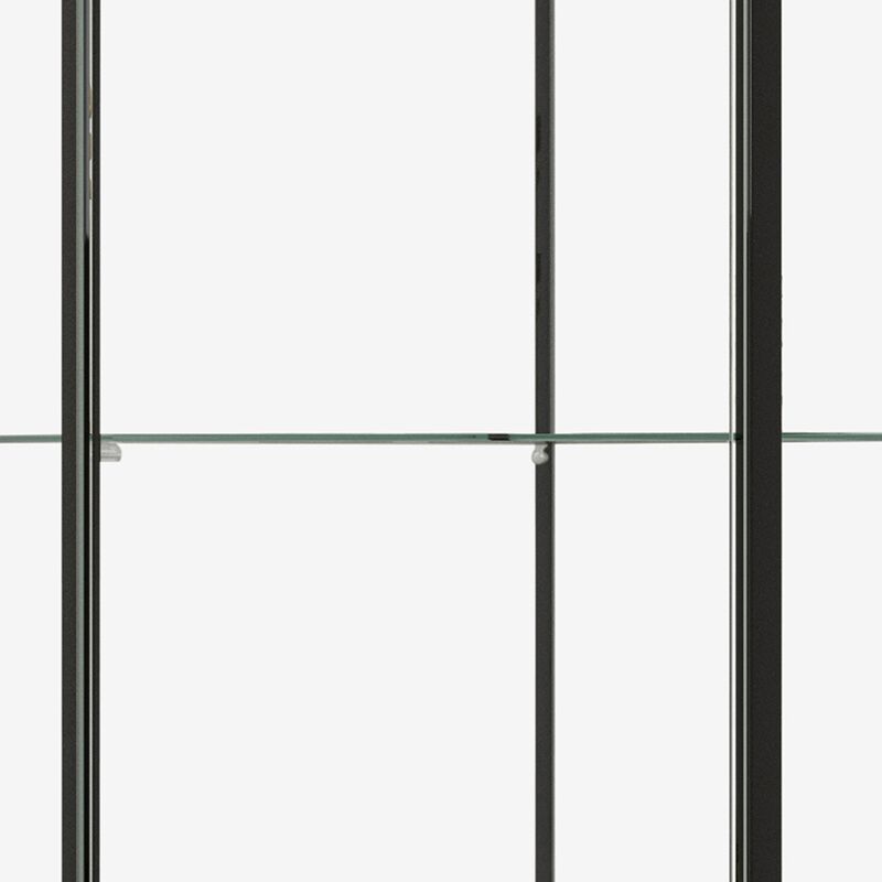 Metal Curio Cabinet with 1 Door and 3 Glass Shelves, Black-Benzara