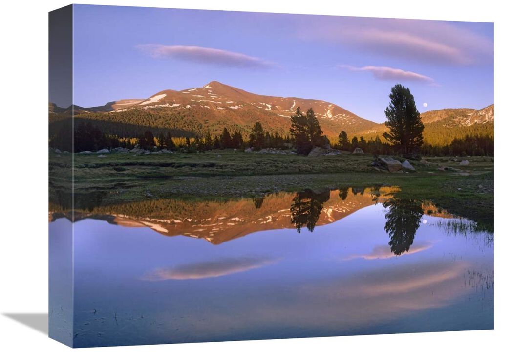 Mount Dana reflected in pond, Yosemite National Park, California-Canvas Art-16x12