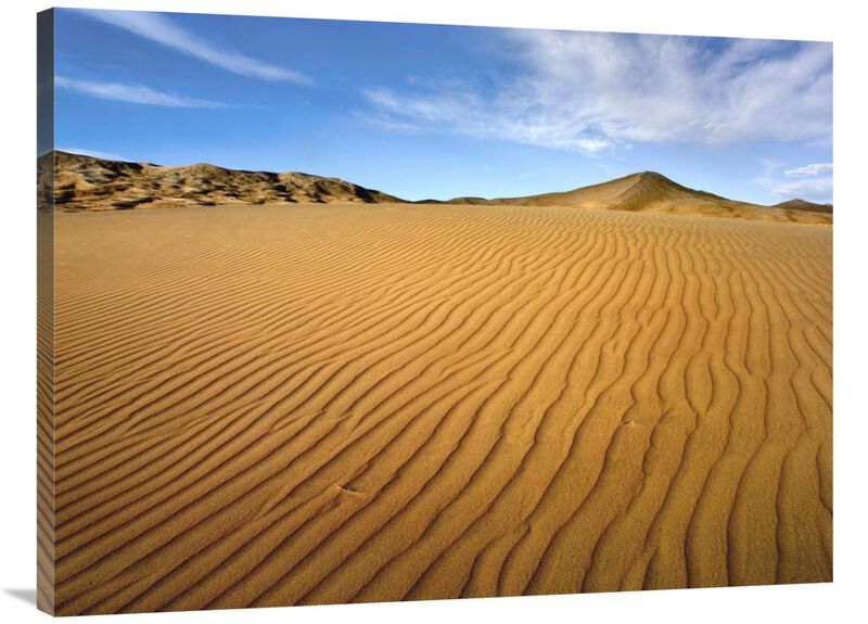 Wind ripples in Kelso Dunes, Mojave National Preserve, California-Canvas Art-40x30