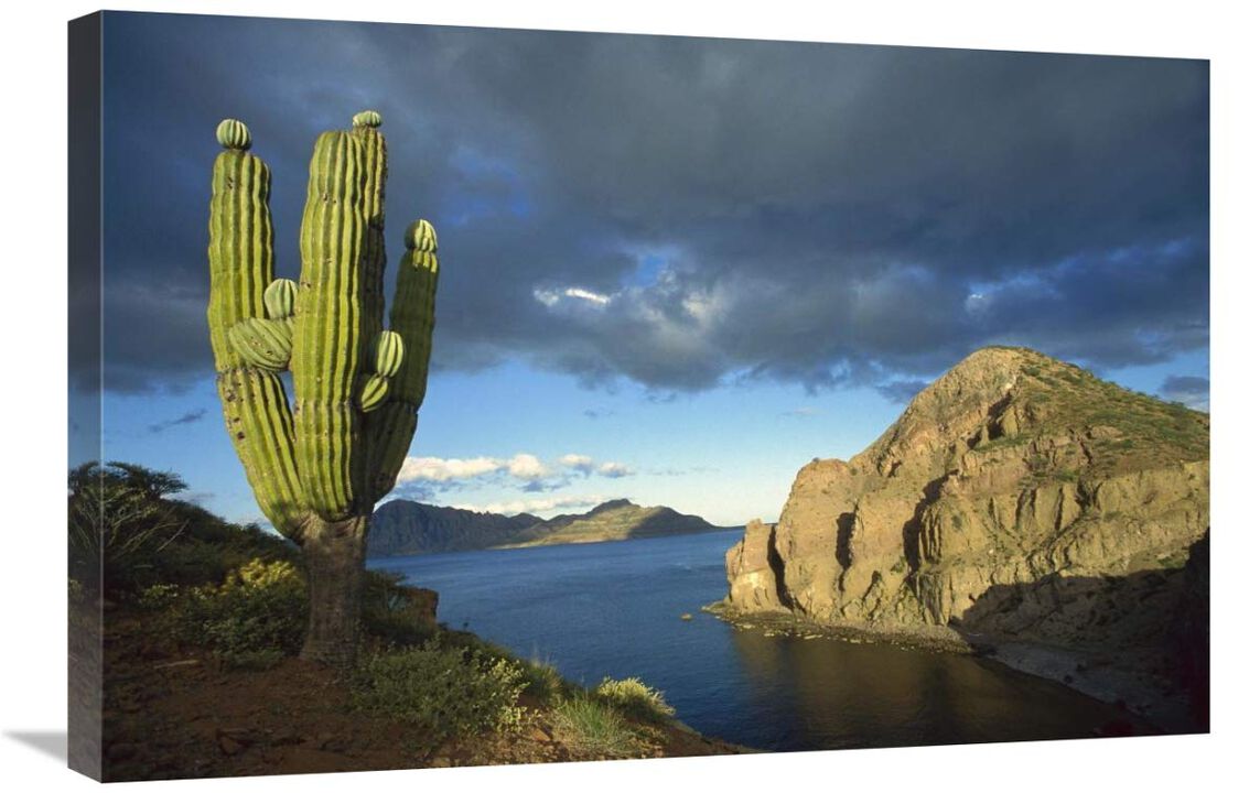 Danzante Island, Sea of Cortez, Baja California, Mexico-Canvas Art-30x20