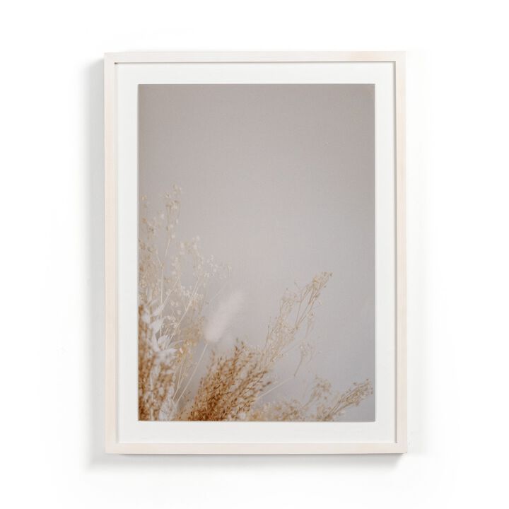Dried Floral II