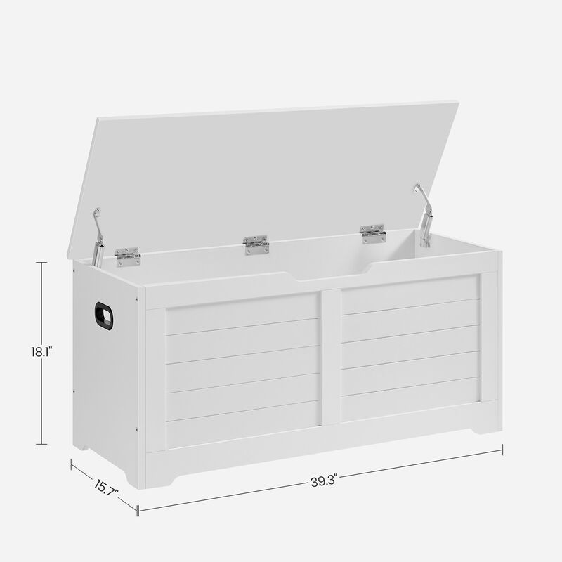 Storage Chest with 2 Safety Hinges