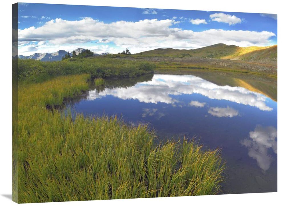 Sky reflected in water Cottonwood Pass, Colorado-Canvas Art-40x30