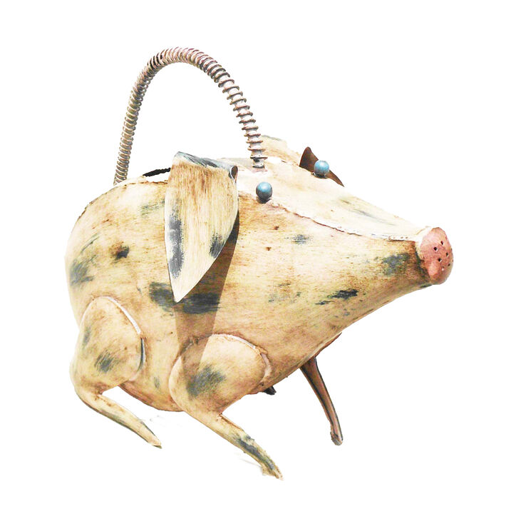 Iron Pig Watering Can