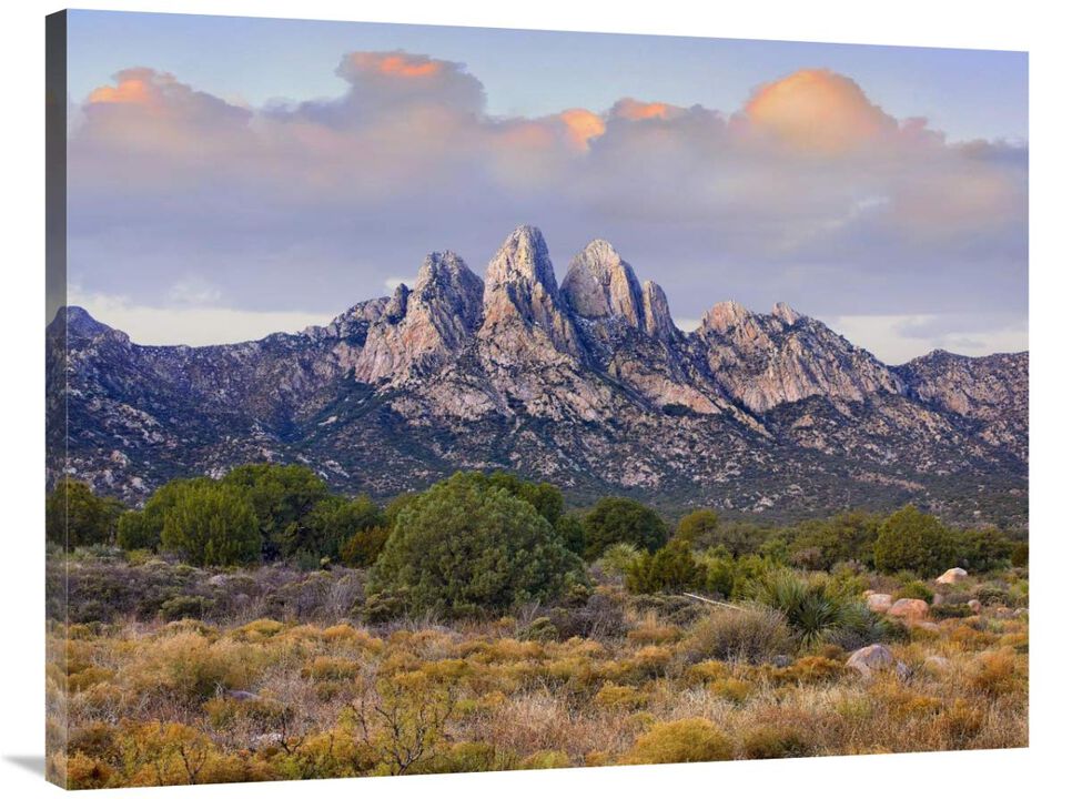 Organ Mountains, Chihuahuan Desert, New Mexico-Canvas Art-40x30