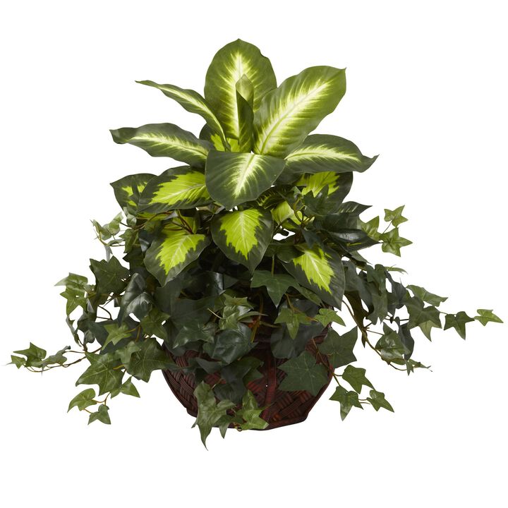 Hivvago Dieffenbachia & Ivy w/Decorative Planter