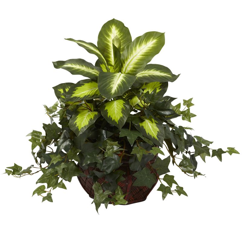 Hivvago Dieffenbachia & Ivy w/Decorative Planter