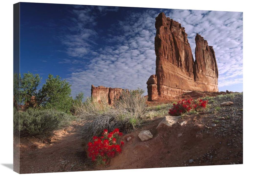 Paintbrush and the Organ Rock, Arches National Park, Utah-Canvas Art-32x24