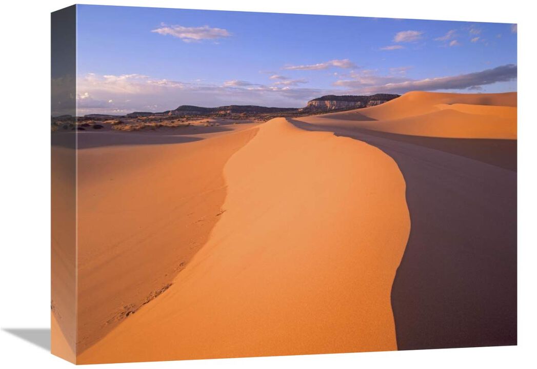 Wind ripples in sand dunes beneath sandstone cliffs, Coral Pink Sand Dunes State Park, Utah-Canvas Art-16x12