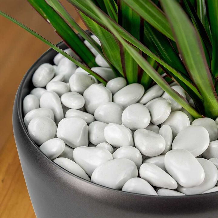 PolyPebbles Polished Composite Decorative Stones | Triple The Coverage of Natural Stone | 100% Recycled Materials + Nature Friendly | Won't Fade or Crack | Small (.5" - 1") Size | 2.4 Lbs Black