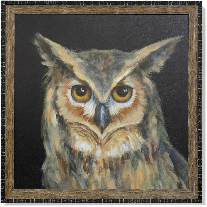 Hedwig Who Framed Print