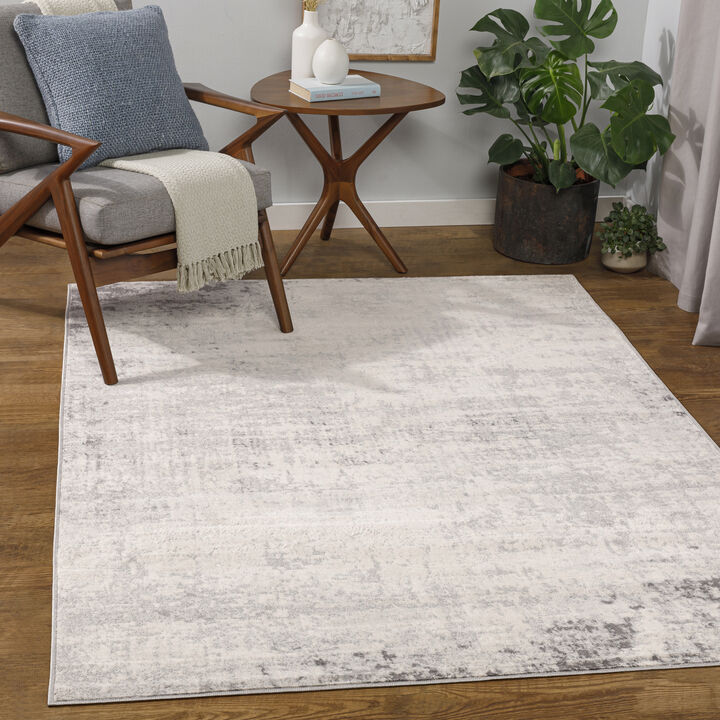 Roma ROM-2393 2' x 3' Gray Rug