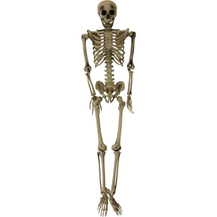 Haunted Hill Farm 60 Skeleton