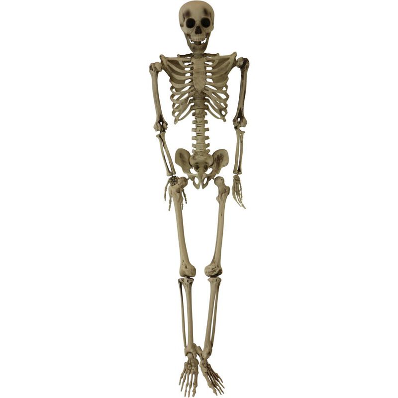 Haunted Hill Farm 60 Skeleton