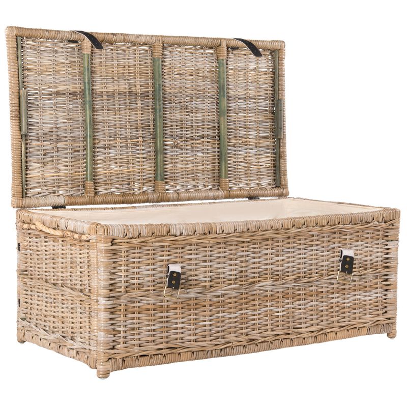 Caden Wicker Storage Trunk