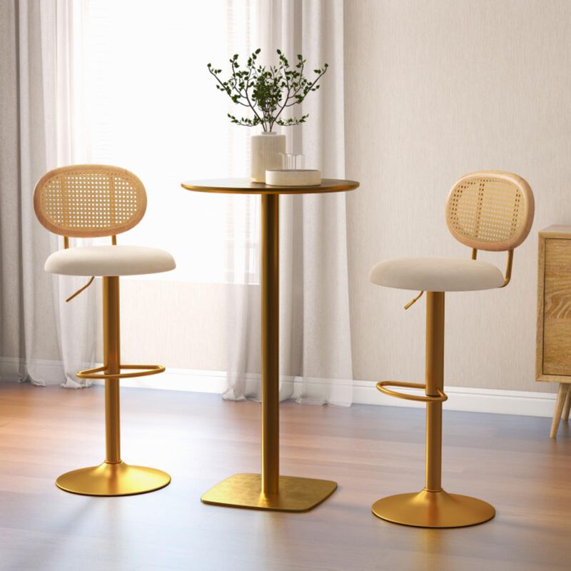Hivvago 2 Pieces Bar Chairs with PE Rattan Backrest-360°Swivel and Height Adjustable