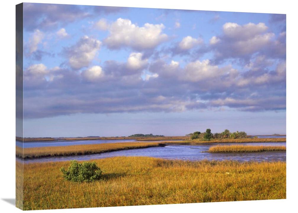 Saltwater marshes at Cedar Key, Florida-Canvas Art-32x24