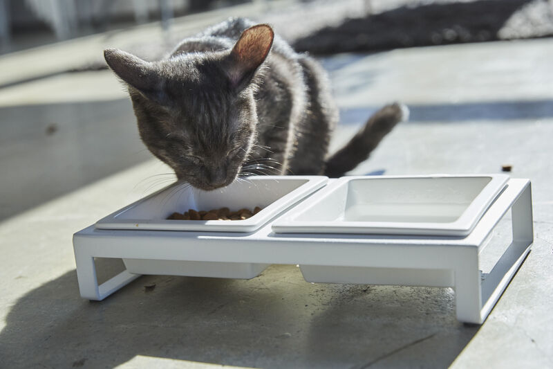Pet Food Bowl - Two Styles