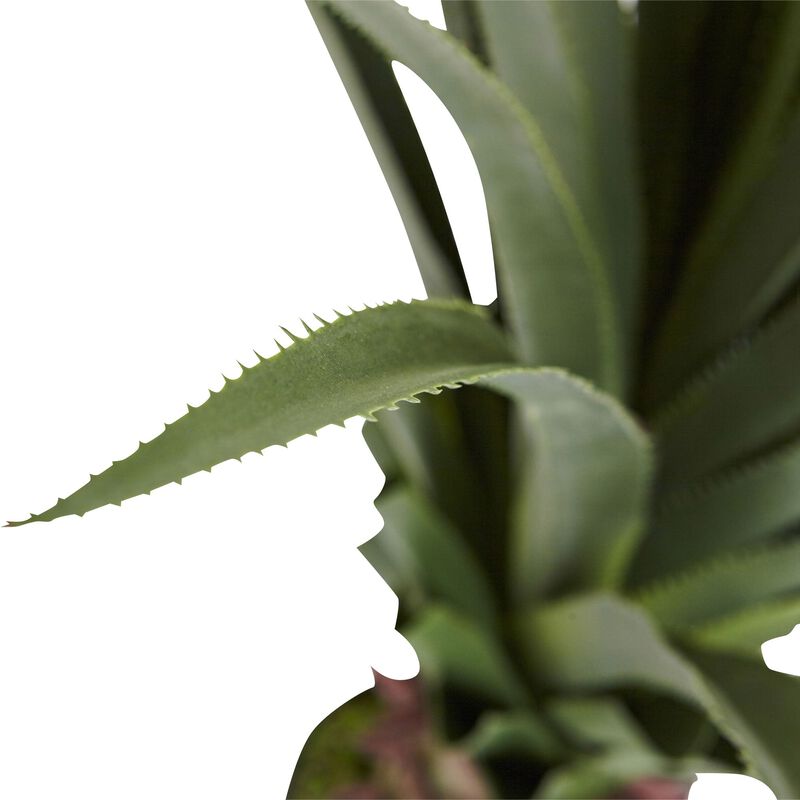 Hivvago 4" Spiked Agave Plant