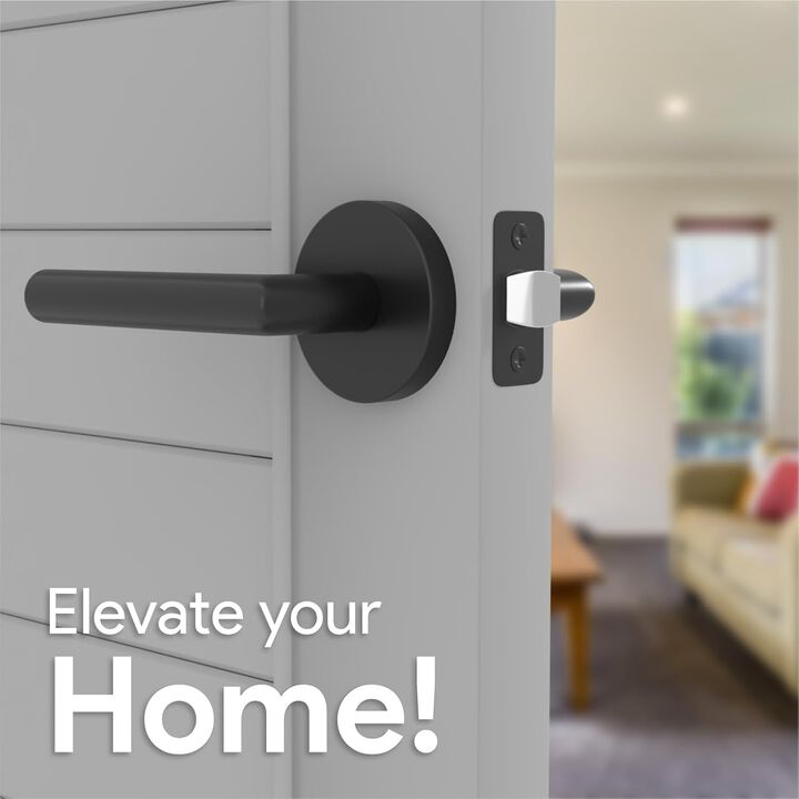 Mega Handles | Ronn Passage Lever