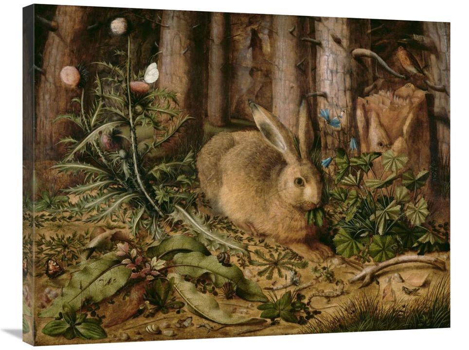 A Hare in the Forest-Canvas Art-35x28