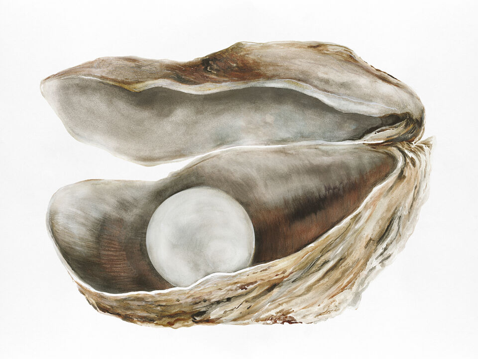 Oyster 4