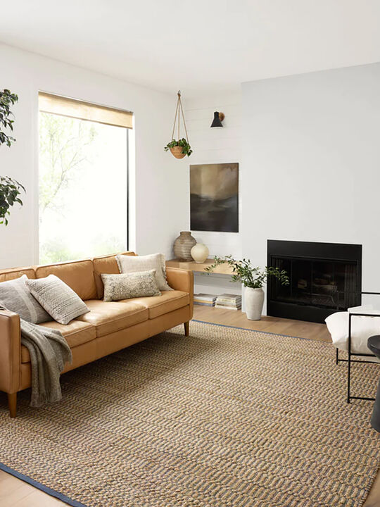 Colton Natural/Navy 10' x 14' Rug