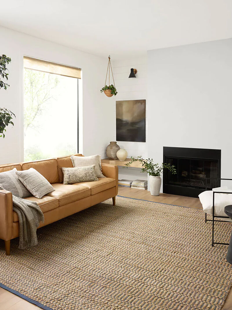 Colton Natural/Navy 10' x 14' Rug