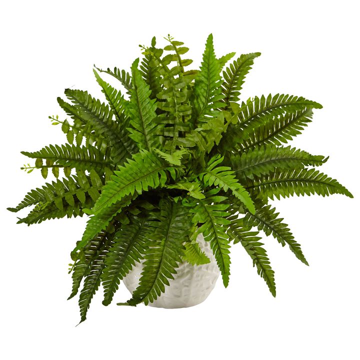 Hivvago Boston Fern in White Planter